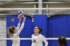 Volleyball vs Babson  Wheaton Women's Volleyball vs Babson College. - Photo by Keith Nordstrom : Wheaton, Volleyball, VB